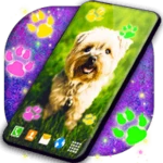 cute puppy live wallpaper android application logo